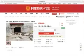 浙江一法院网拍活鳄鱼 可分条单独竞拍图片