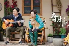 《向往的生活》柴犬小H凭岁数小入选图片