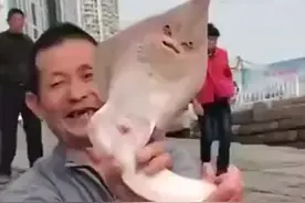 人脸鱼 真新鲜