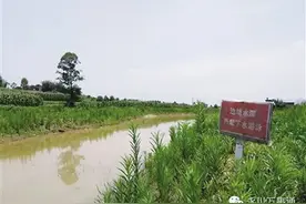 双胞胎姐妹溺亡 花未绽开就已凋零孩子安全教育必须重视图片