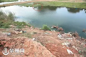 晋江6名民警滑斜坡赤脚蹚沼泽 接力救起轻生女图片