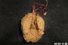 防止爆炸钩的钩饵分离技巧图片
