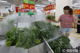 湖北襄阳：超市喷雾为蔬菜保鲜，青菜集体“享受”夏日清凉图片