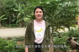 木瓜的功效与作用，木瓜的营养价值让我老告诉你们视频封面