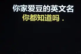 你最喜欢的是哪位idol...欢迎补充....视频封面