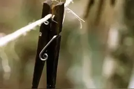 日用之器-衣夹图片