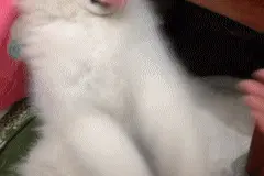 人家不想走路嘛，我要你抱着我走！图片