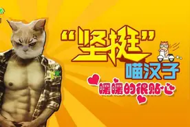猫猫卖萌为何只换来0点击量，真是菜的抠脚