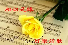 律师提示：协议离婚指引图片