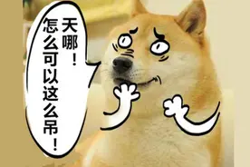 斗图必备：用PS制作表情包03-给狗换上卡通手绘表情视频封面