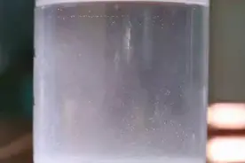 饱和盐水测真假琥珀该加多少盐?图片