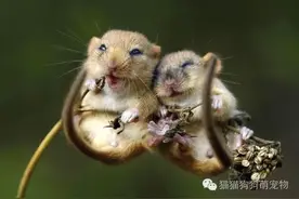 我要我们在一起图片