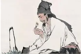 我的竹鼠养殖技术体系: 写在前面的话图片