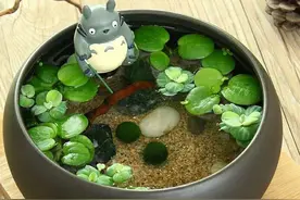 你以为绿植只是小清新，其实藏有大格局......图片