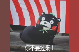 有哪些值得一尝的果冻推荐？图片