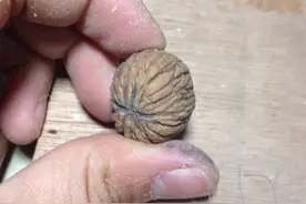 猴头雕刻，朽木可雕，必成大业！图片