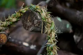 网友示范如何编织原始草绳，成品居然可以承受500斤的重量图片