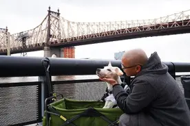 带着狗狗去旅行，这是最后的美好回忆图片