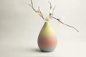 花与花瓶的搭配技巧！美艳的花瓶衬托你的花图片