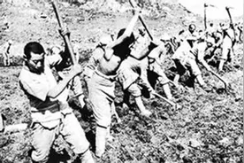 陕北黄土高原通史——老镢头图片