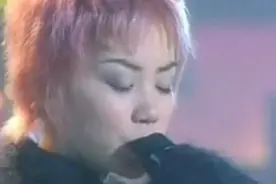 [民谣合集]1994年港台群星演唱《兰花草》，岁月真的很安静图片
