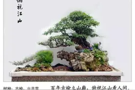 林立如品园山水盆景欣赏图片