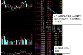 中报预增+庄家资金流入，质优股众兴菌业不可错过图片