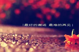 再见，再也不见图片