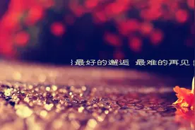 再见，再也不见图片