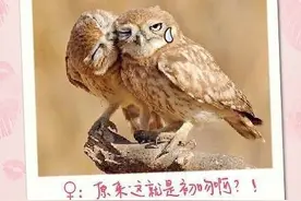 插曲，亲嘴儿时都在想什么??gaga图片