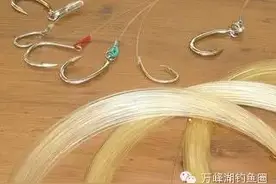 鱼线种类及线组的绑法图解图片