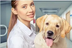 狗狗使用完驱虫药后都会出现哪些不良反应，主人长点心吧！图片