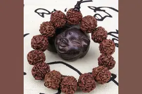 这样的金刚菩提坚决不能买，警惕吃亏上当！图片