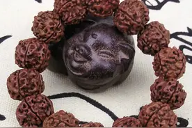 这样的金刚菩提坚决不能买，警惕吃亏上当！图片