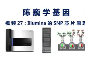 陈巍学基因 视频27：Illumina的SNP芯片原理视频封面