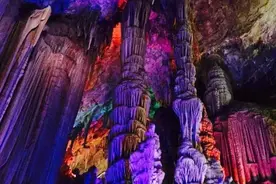 暑期去哪：京郊避暑新玩法，“熊孩子”开心又涨知识！图片