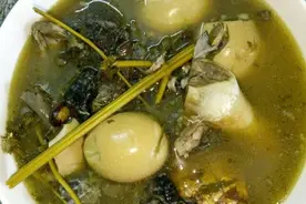 食疗丨这些美食能让女人更快怀孕图片