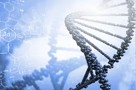 Chemdarw破解版注册码-序列号汇总图片