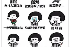 蚊子为什么会追着你不放+电蚊拍使用技巧！图片