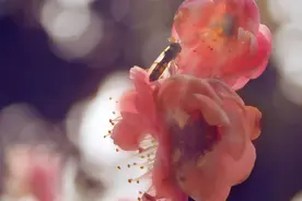 记得曾经相爱过图片