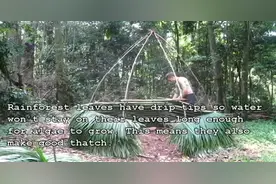 《荒野生存系列》澳大利亚小哥靠一条裤衩，造出一座房子！视频封面