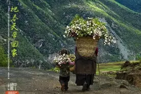 农民的道德界限图片