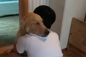 老公一下班就要给狗狗一个抱抱，而狗狗最爱做的是趴厕所图片