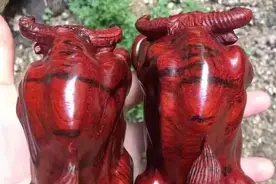 好事成双，“牛”转乾坤，牛气冲天！图片