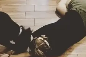 主人装晕后狗狗们的反应,铲屎官们敢试一试吗？图片