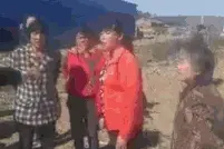 腿太细有时候也不一定好图片