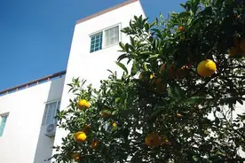 济州岛旅游攻略:Tae Gong Gak住宿酒店介绍图片