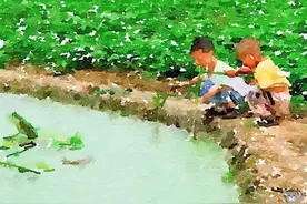 [野钓小龙虾]带娃温习童年乐趣图片