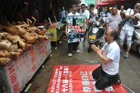 个人关于“玉林狗肉节”和吃狗肉的一点看法图片