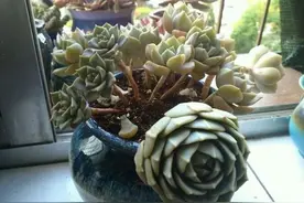 五险一金一辈子交150多万 最后到底能得到多少？图片